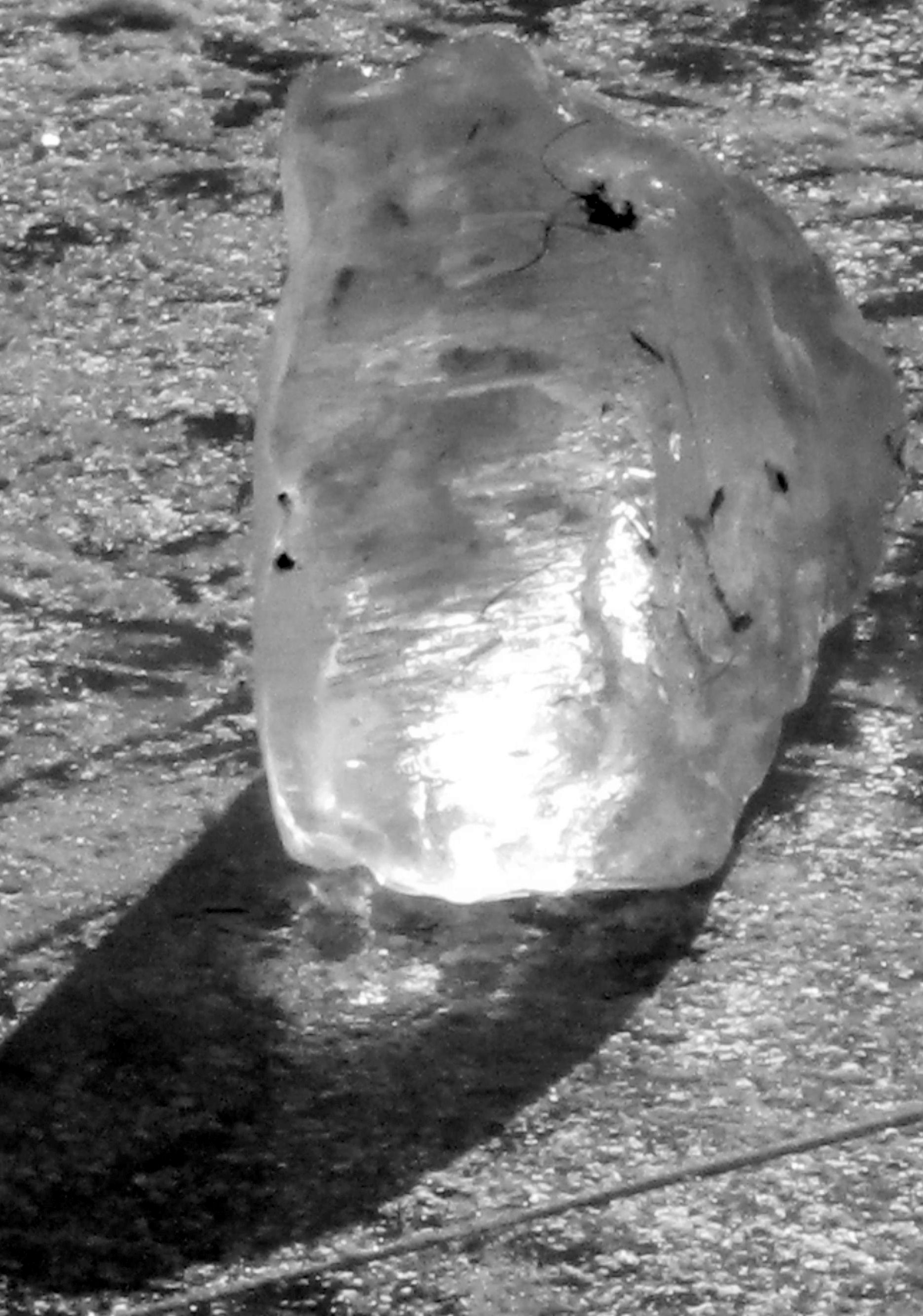 Winter am Niederrhein